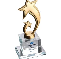 EKT-230 Kristal Plaket