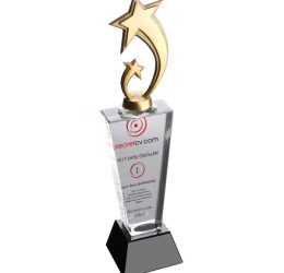 EKT-240 Kristal Plaket
