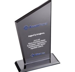 EKT-310-FM Kristal Plaket