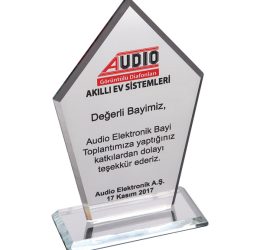 EKT-161-ŞF Kristal Plaket