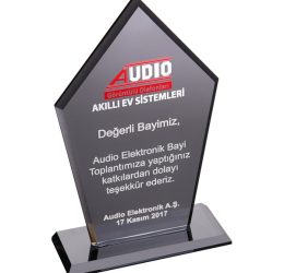 EKT-161-FM Kristal Plaket