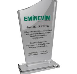 EKT-108-ŞF Kristal Plaket