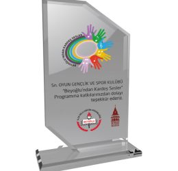 EKT-205-ŞF Kristal Plaket