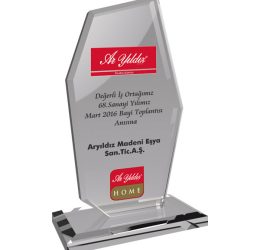 EKT-275-ŞF Kristal Plaket