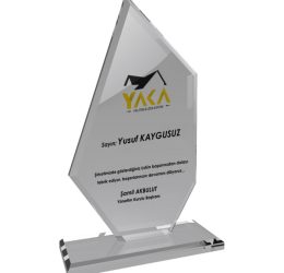 EKT-133 Kristal Plaket