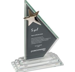 EKT-660 Kristal Plaket