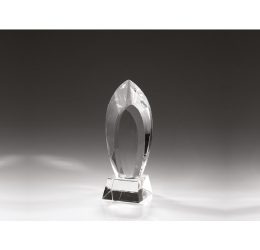 HC-1 Kristal Ödül