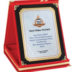 AP-01K-12×16 Albüm Plaket