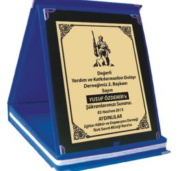 AP-01L-12×16 Albüm Plaket